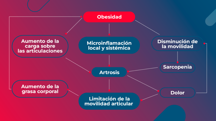  Interrelación de los factores asociados con la obesidad y la osteoartritis.