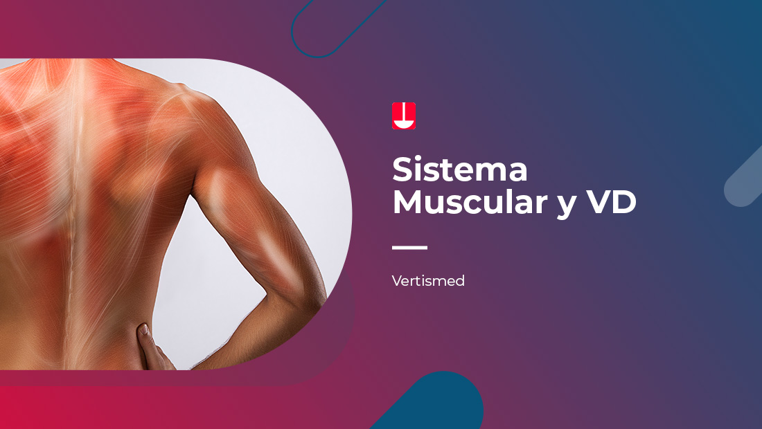 Ponencia sobre el sistema muscular y la importancia de la Vitamina D para su cuidado y mejor rendimiento